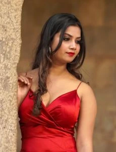 call girl service in Pulgaon